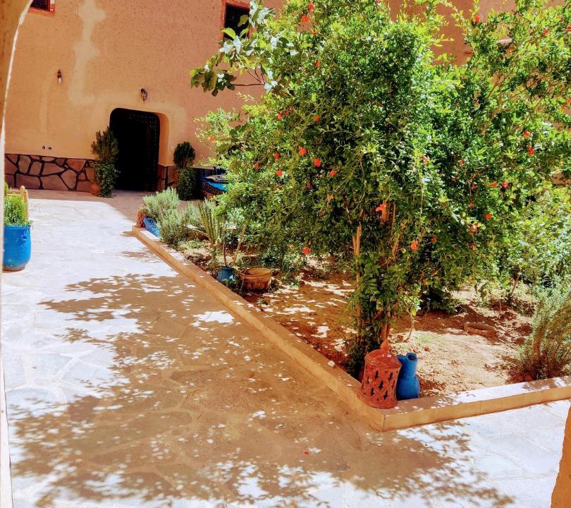 Photo of Others in Nekob