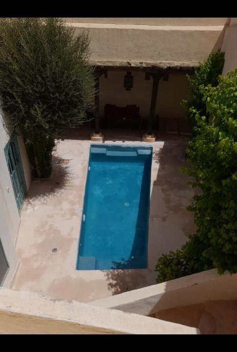 Photo of Others in Palmeraie