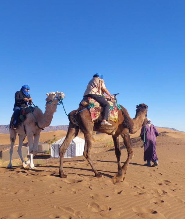 Photo of Others in Zaouia De Sidi El Mokhtar Ben Ali