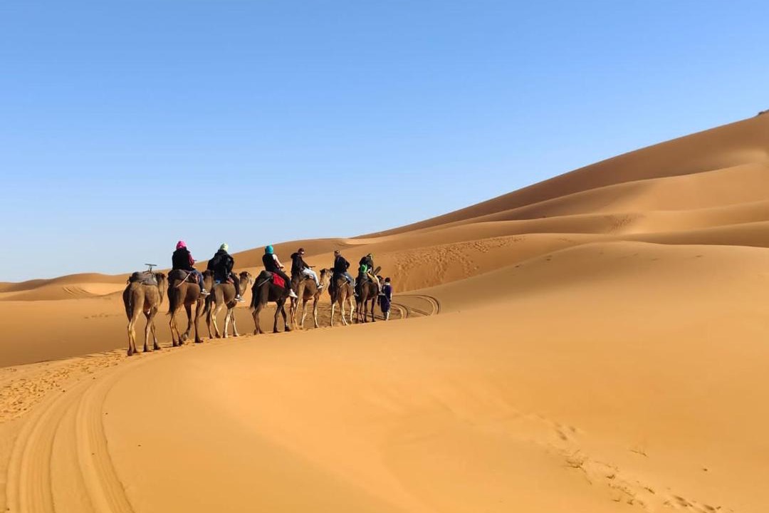 Photo of Others in Hassilabied