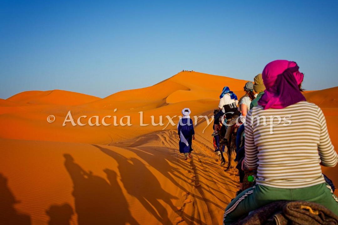 Photo of Others in Merzouga