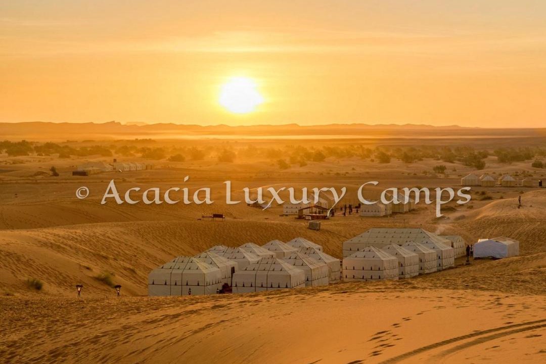 Photo of Others in Merzouga