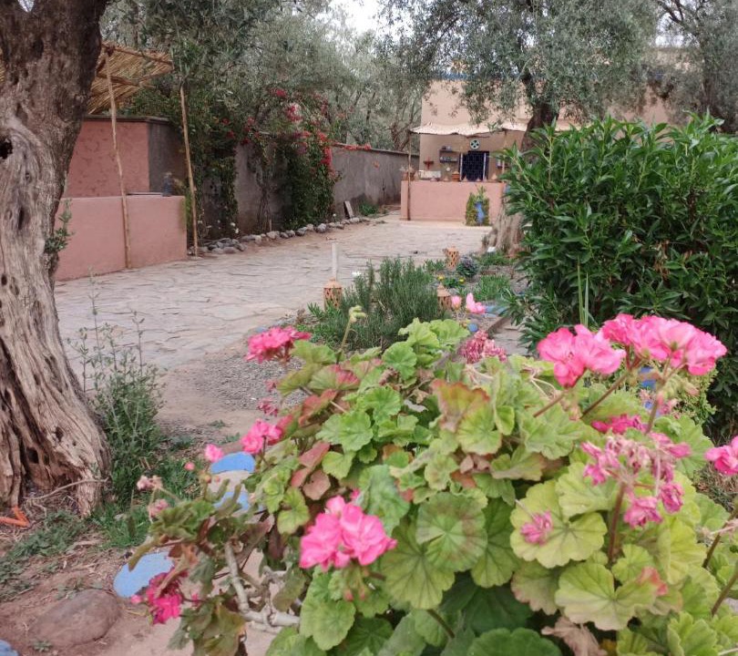 Photo of Others in Tahanaout