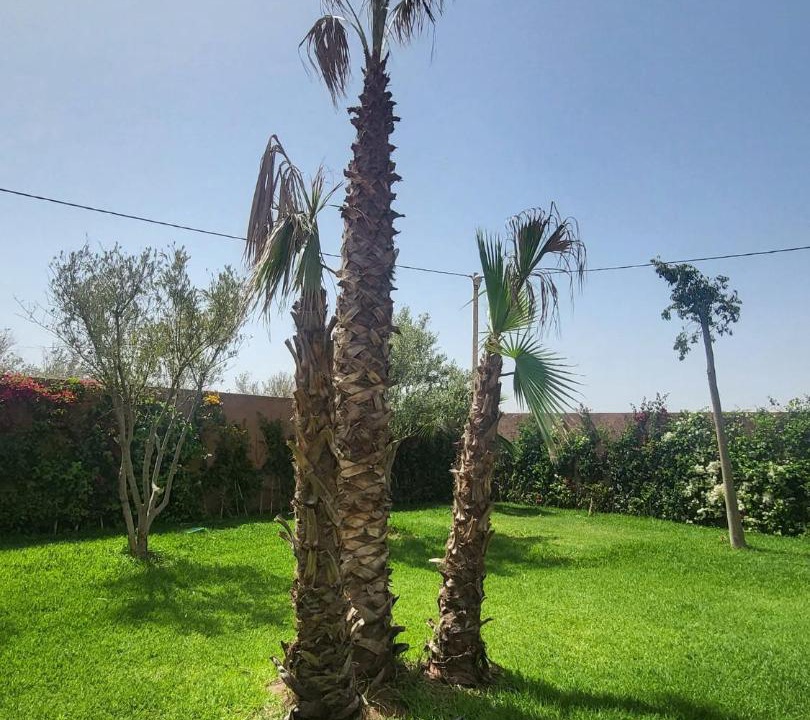 Photo of Others in El Aggada