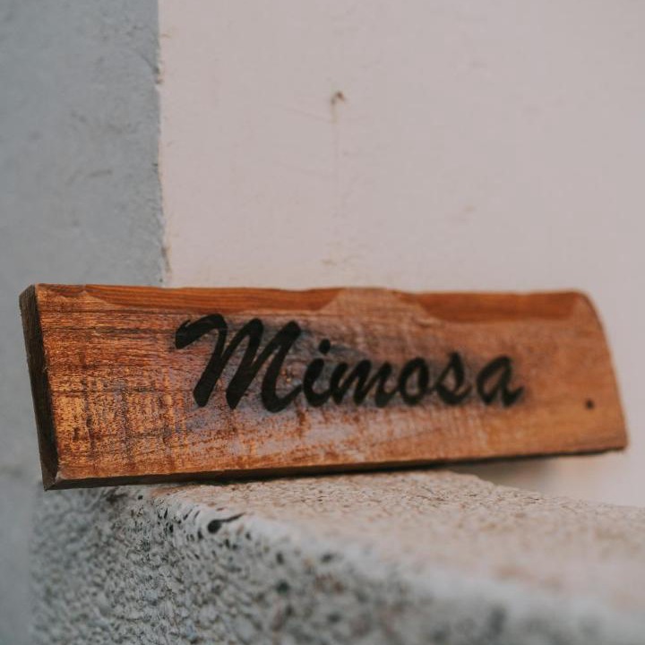 Photo of Others in Essaouira