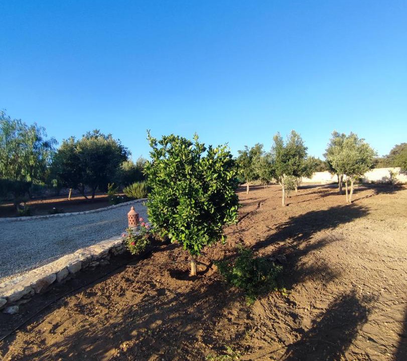 Photo of Others in Ida Ougourd