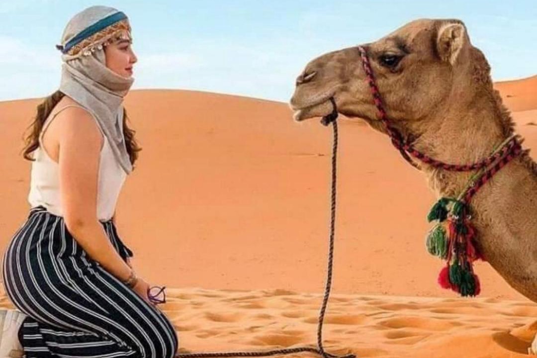 Photo of Others in Taouz