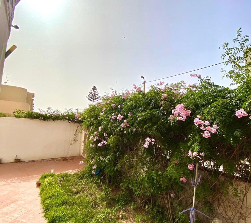 Photo of Others in Cite Al Mohammadi