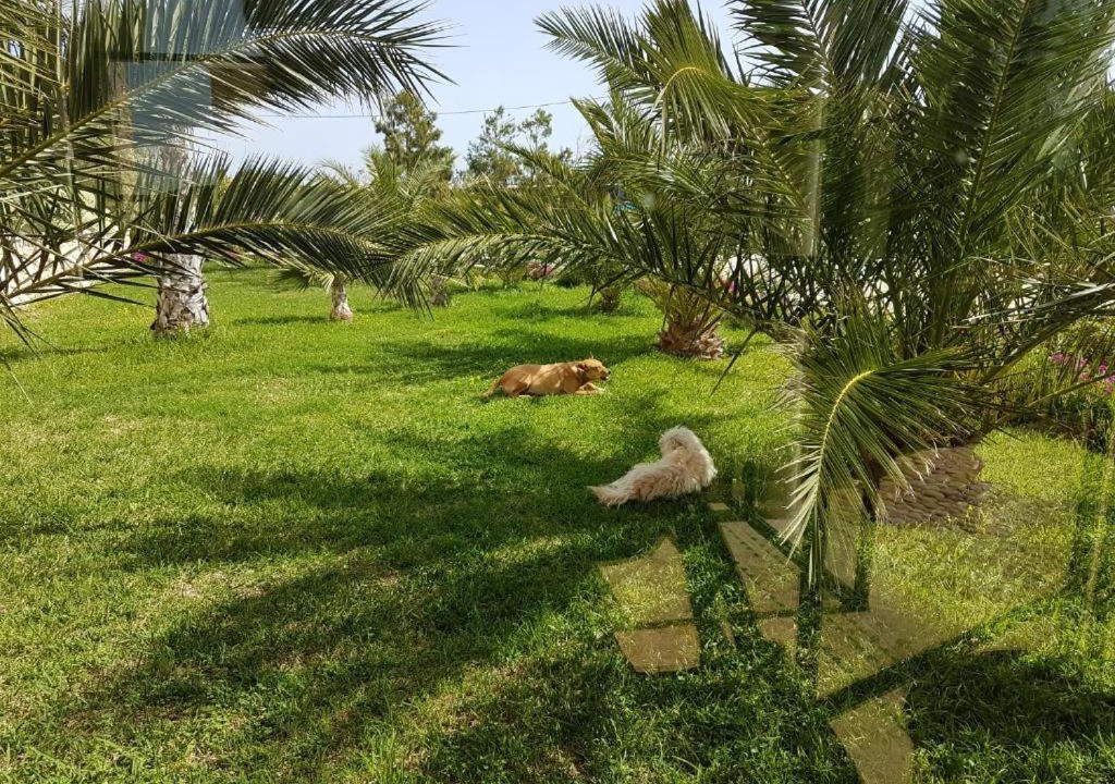 Photo of Others in Ounagha