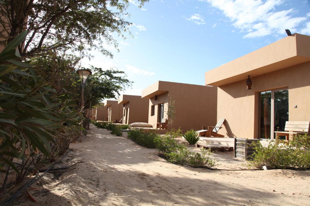 Photo of Others in Dakhla