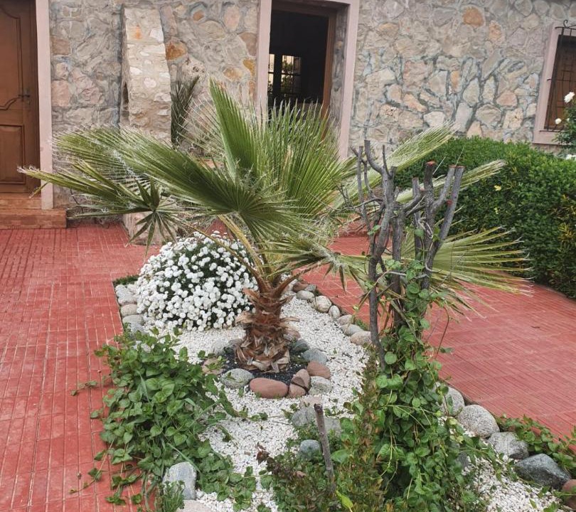 Photo of Others in Tigrigra