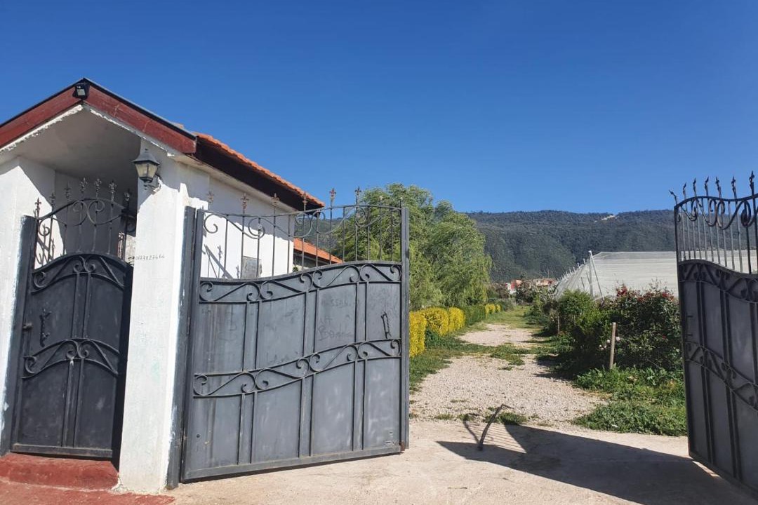 Photo of Others in Tigrigra