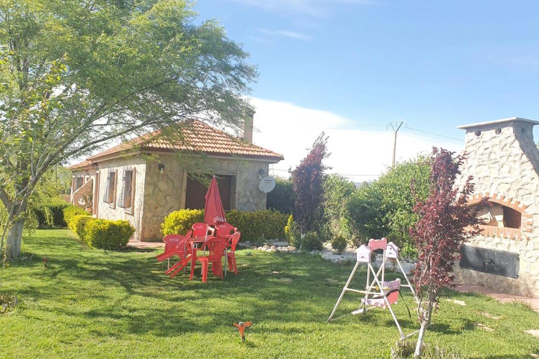 Photo of Others in Tigrigra