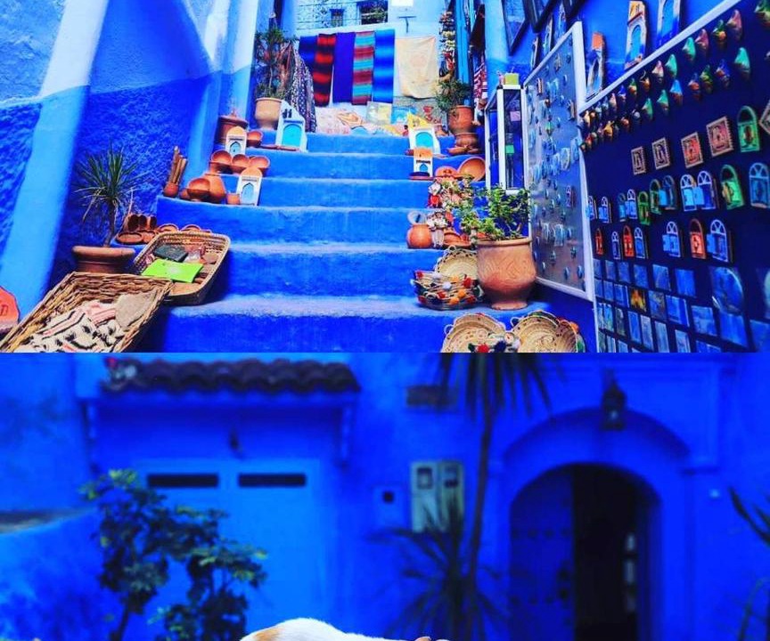Photo of Others in Chefchaouen