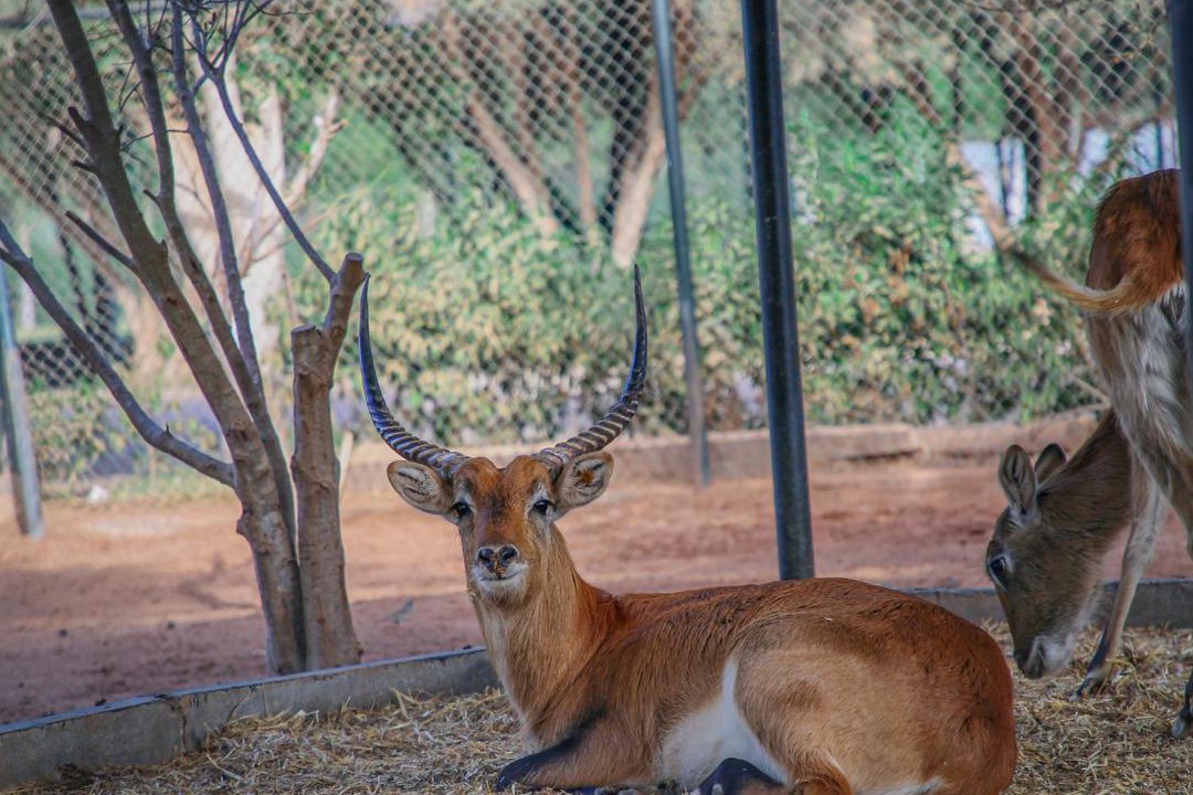 Photo of Others in Sidi Boumoussa