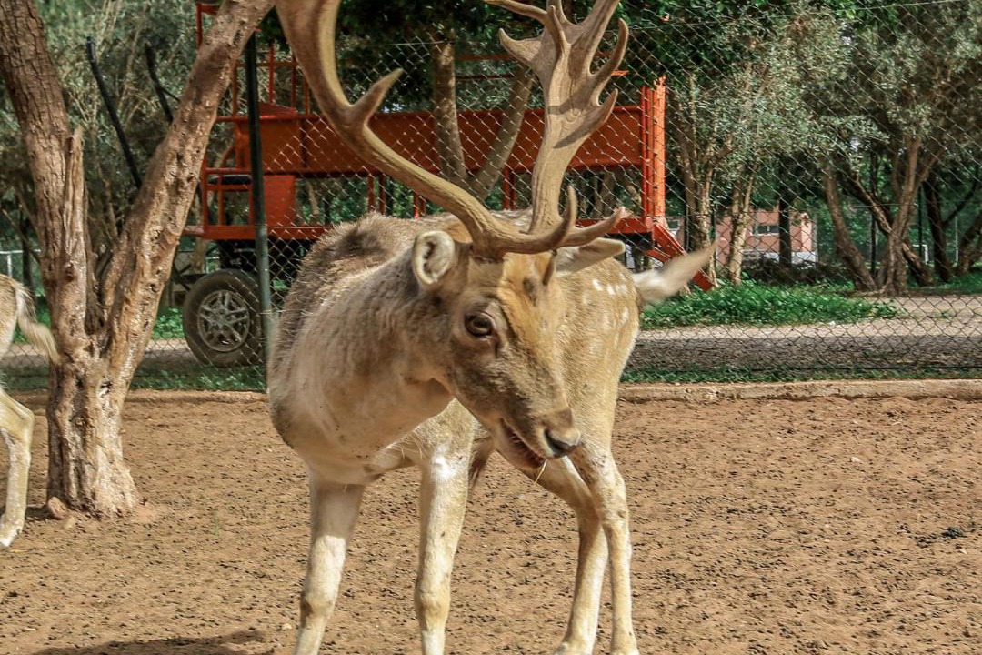 Photo of Others in Sidi Boumoussa