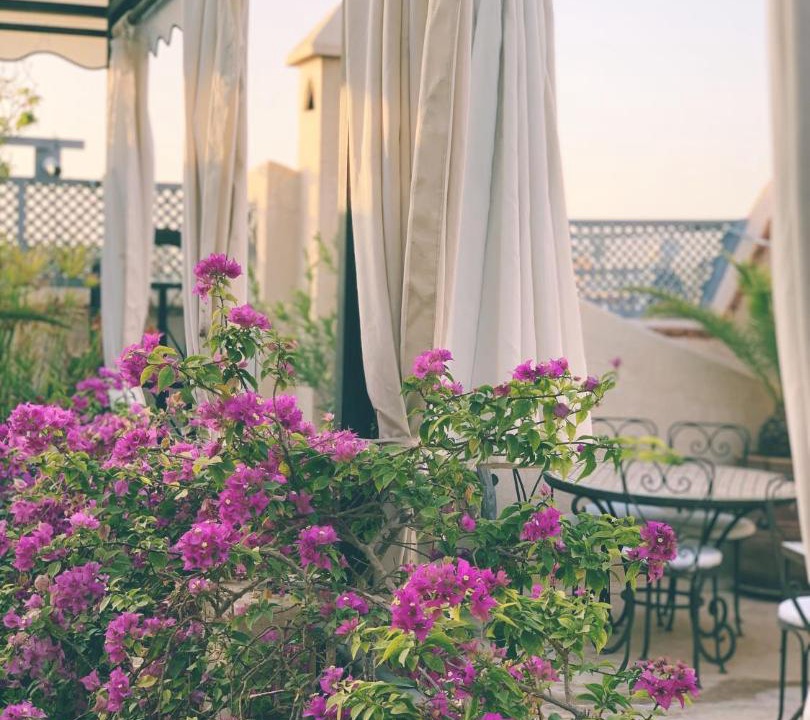 Photo of Others in Sidi Bou Amar