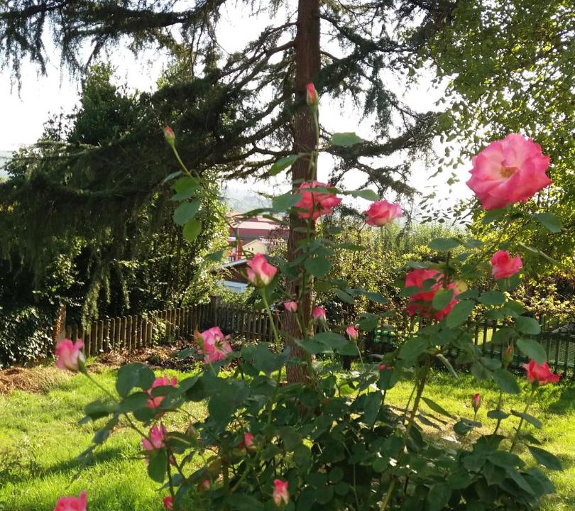 Photo of Outdoor in Granda (Siero)