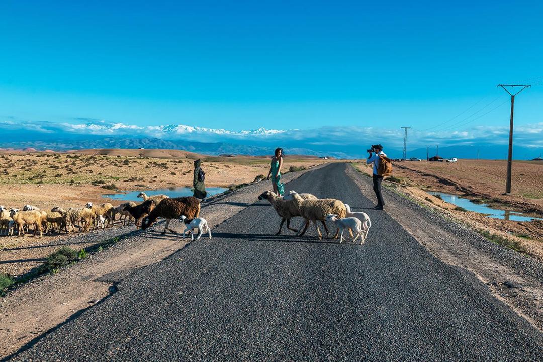 Photo of Others in Sidi Badhaj