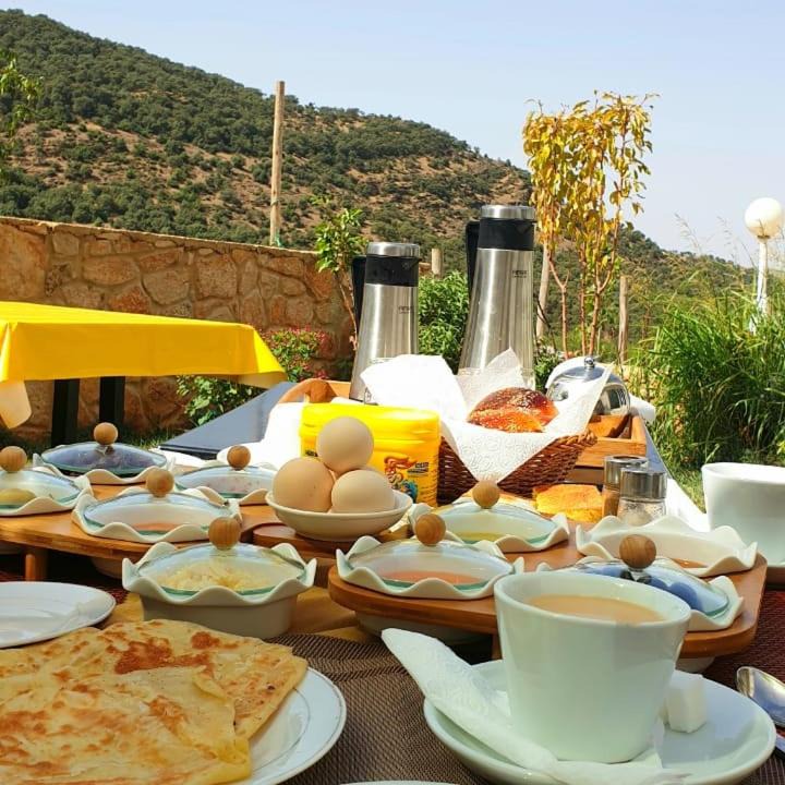 Photo of Others in Zaouia Ben Smine