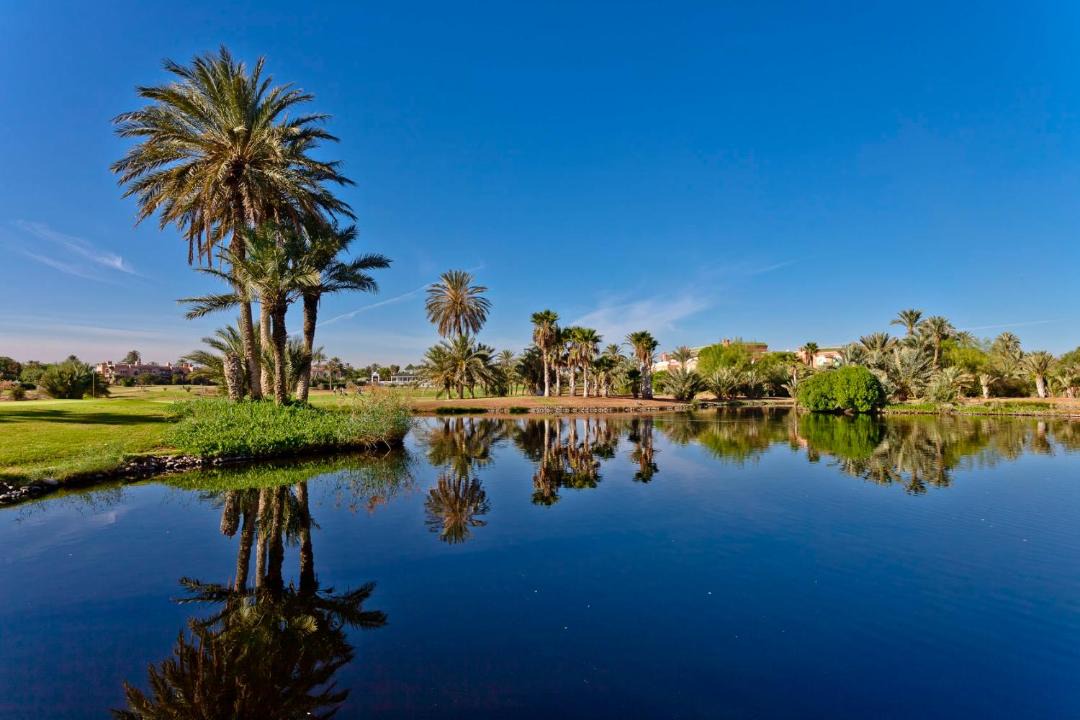 Photo of Others in Palmeraie