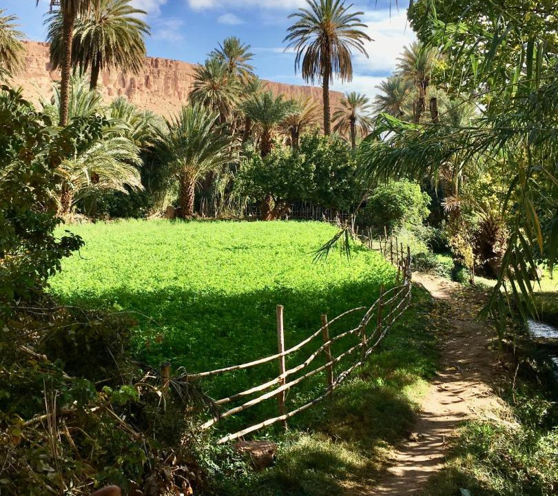 Photo of Others in Toudgha El Oulia