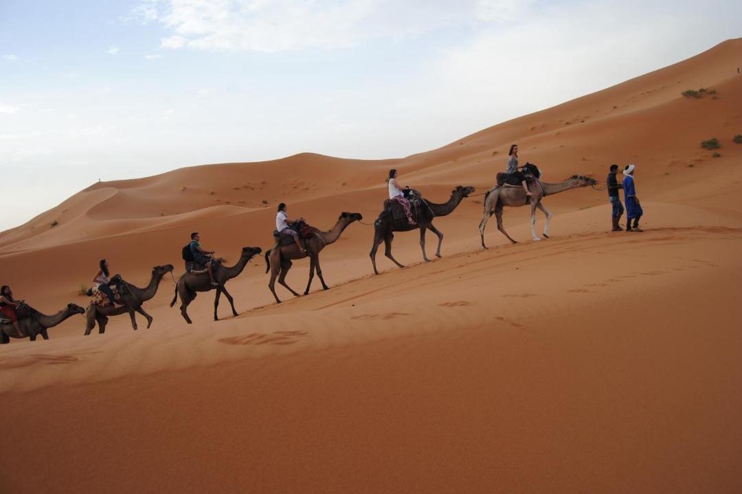 Photo of Others in Lac Yasmins