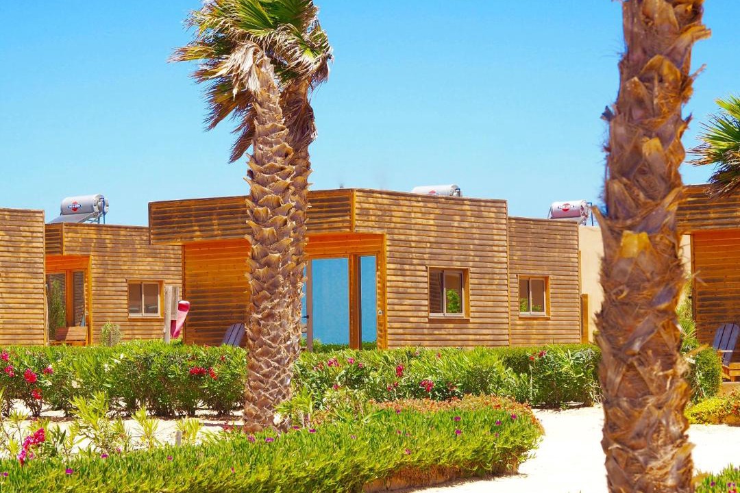 Photo of Others in Dakhla