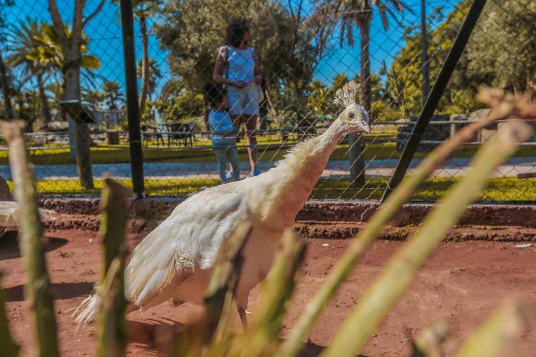 Photo of Others in Sidi Boumoussa