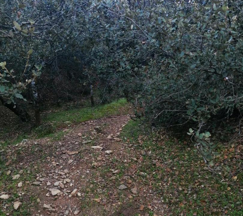 Photo of Others in Zaouia Ben Smine