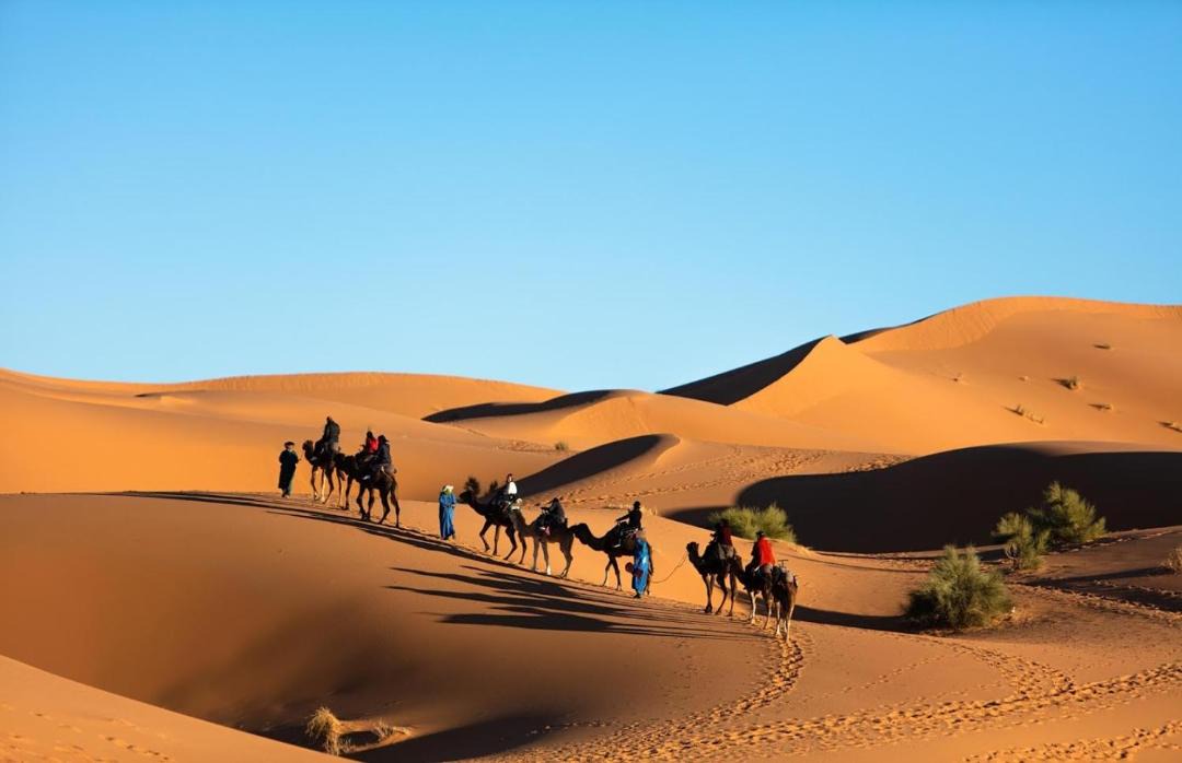 Photo of Others in Merzouga