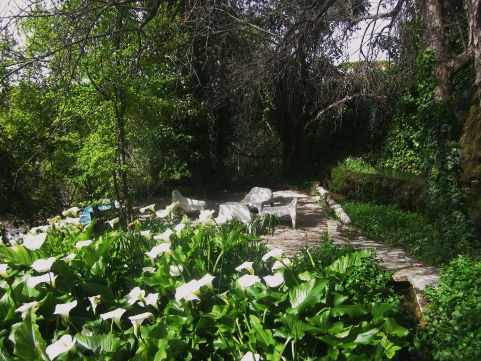 Photo of Others in Imouzzer des Ida Outanane