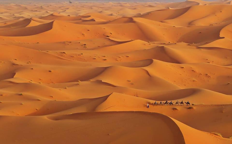 Photo of Others in Hassilabied