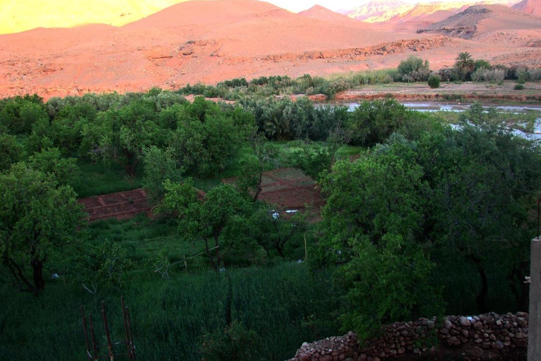 Photo of Others in Tamdaght