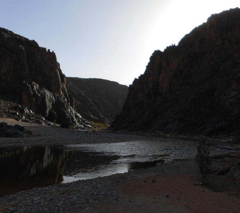 Photo of Others in Skoura