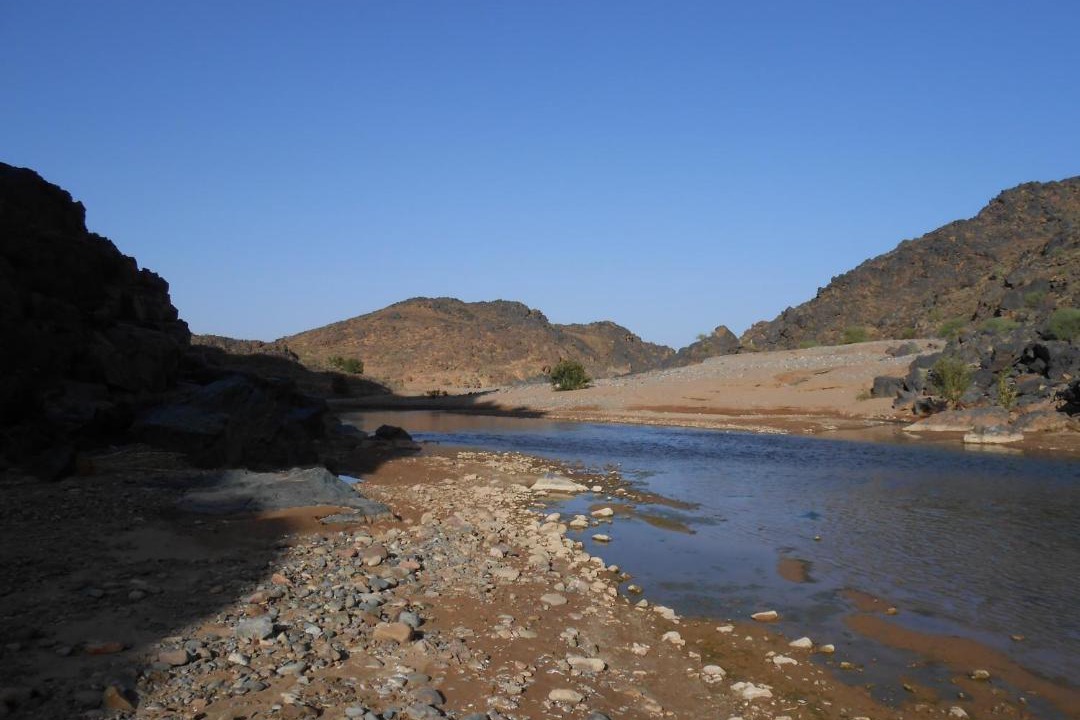 Photo of Others in Skoura
