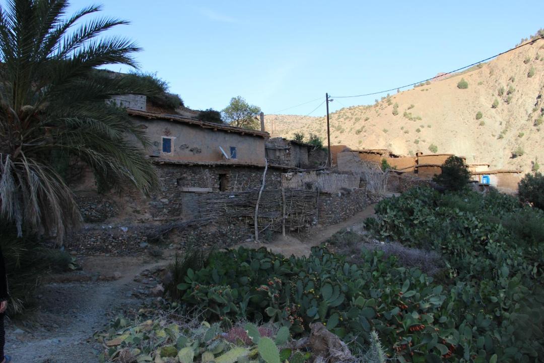 Photo of Others in Ijjoukak