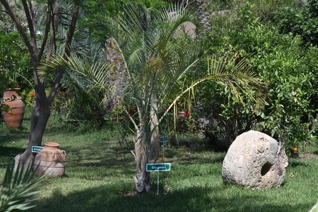 Photo of Outdoor in Taroudannt