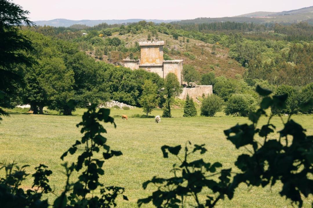 Photo of Others in Palas de Rei