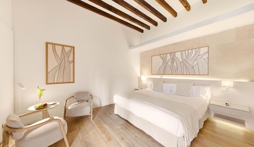 Deluxe Double Room, Terrace