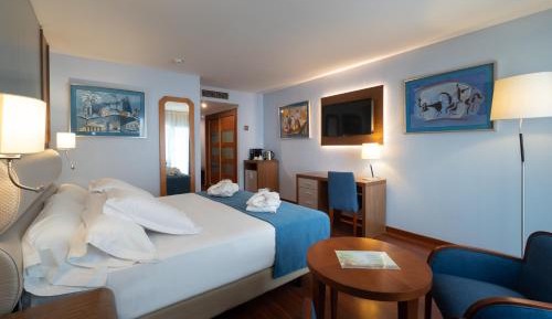 Superior Double Room or Twin Room