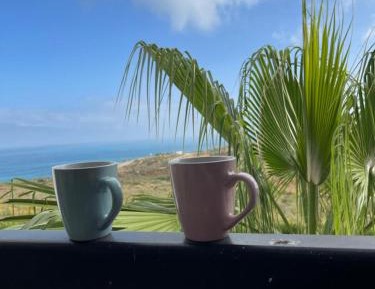 Three-Bedroom Apartment - Oceanfront