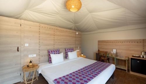Discovery Tent