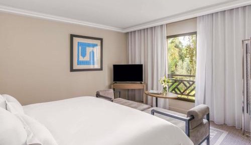 Deluxe King Room with Garden View