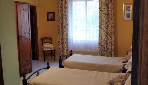 Deluxe Double or Twin Room with Garden View