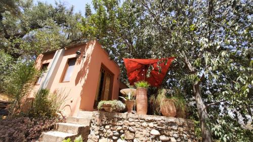 One-Bedroom Villa