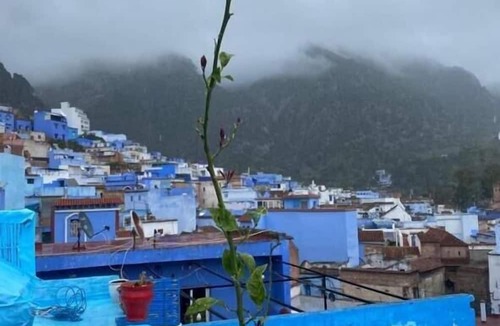 Medina of Chefchaouen Hotel | hotel sakura
