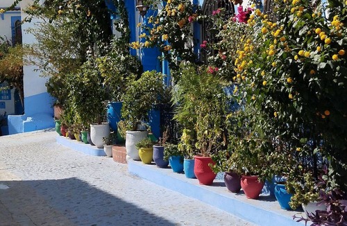 Souika Bed & Breakfast | Chourafa Ryad