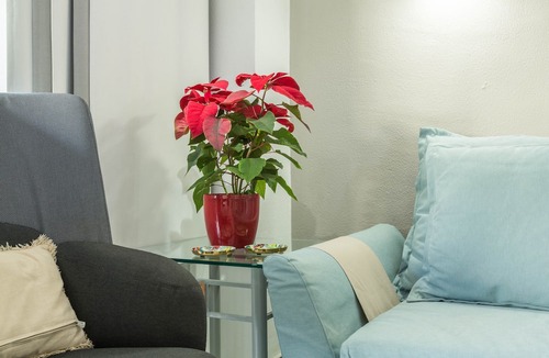 Playa del Aguila Apartment | Apartment "Soraya" on the Beach with Sea Views, Wi-Fi, Pool and Garden