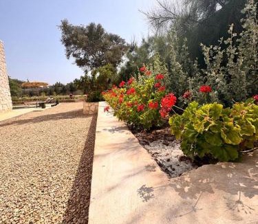 Sidi Kaouki Bed & Breakfast | Chambres d'hôtes Beldi et ou Océane dans Villa-Essaouira